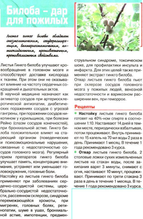 Гинкго билоба, лист 50г в Москве