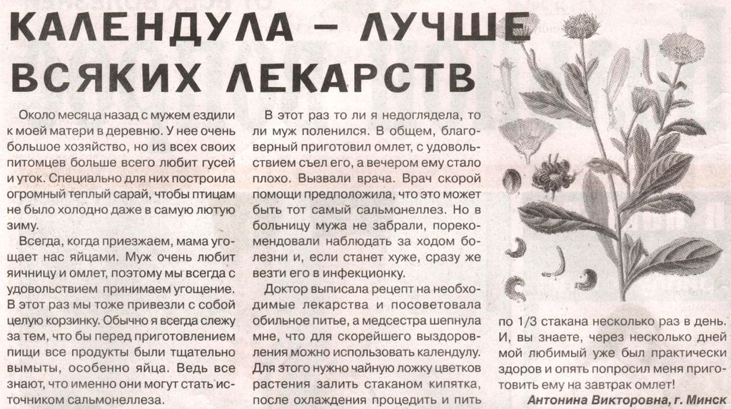 Календула цветы 100 гр. в Москве
