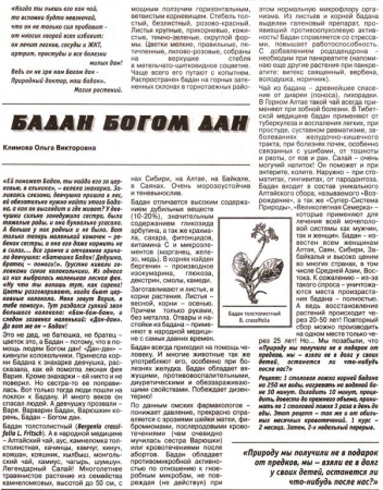 Бадан лист 100 гр. в Москве