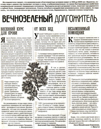 Можжевельник плод 100 гр. в Москве