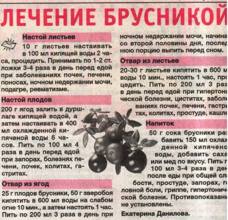 Брусника лист 100 гр. в Москве