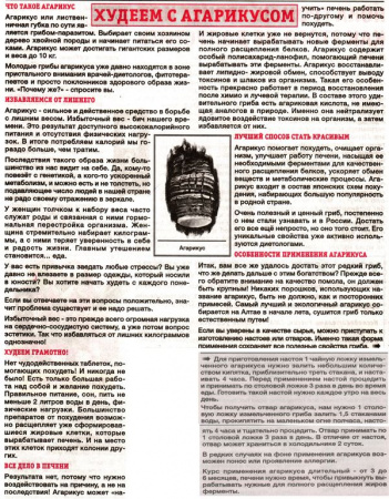 Агарик гриб 100 гр. в Москве