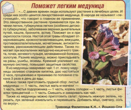 Медуница трава 100 гр. в Москве