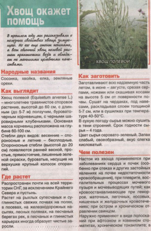Хвощ трава 200 гр. в Москве