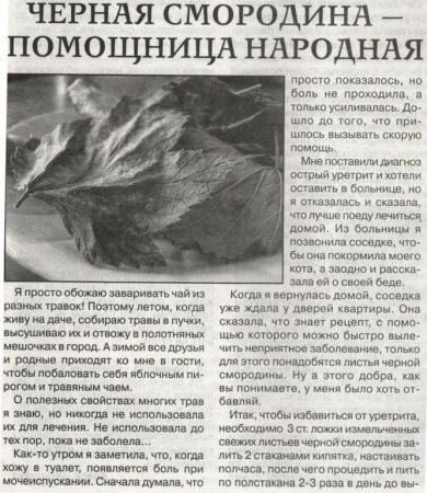 Смородина лист 200 гр. в Москве